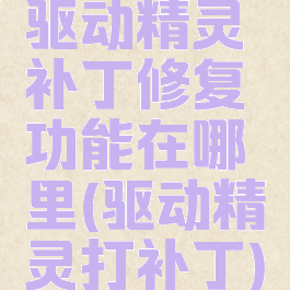 驱动精灵补丁修复功能在哪里(驱动精灵打补丁)