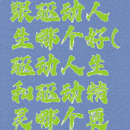 驱动精灵跟驱动人生哪个好(驱动人生和驱动精灵哪个更好)