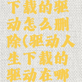 驱动人生下载的驱动怎么删除(驱动人生下载的驱动在哪个文件夹)