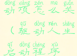 驱动人生启动项怎么关(驱动人生启动程序在哪)