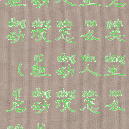 驱动人生启动项怎么关(驱动人生启动项怎么关闭)