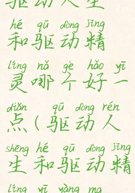 驱动人生和驱动精灵哪个好一点(驱动人生和驱动精灵一样吗)