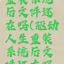 驱动人生重装系统后文件还在吗(驱动人生重装系统后文件还在吗安全吗)