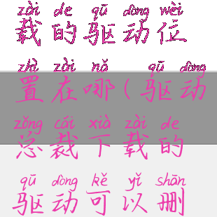 驱动总裁下载的驱动位置在哪(驱动总裁下载的驱动可以删除吗)