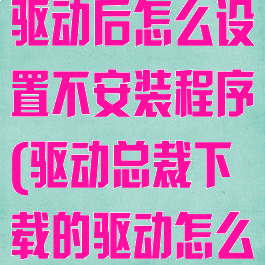 驱动总裁下载驱动后怎么设置不安装程序(驱动总裁下载的驱动怎么手动安装)