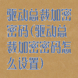 驱动总裁加密密码(驱动总裁加密密码怎么设置)