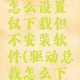 驱动总裁怎么设置仅下载但不安装软件(驱动总裁怎么下载驱动)
