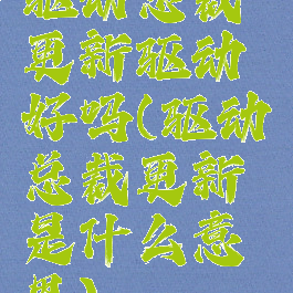 驱动总裁更新驱动好吗(驱动总裁更新是什么意思)