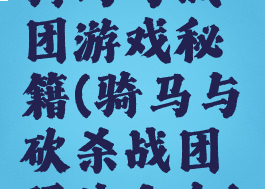 骑马与战团游戏秘籍(骑马与砍杀战团玩法大全)