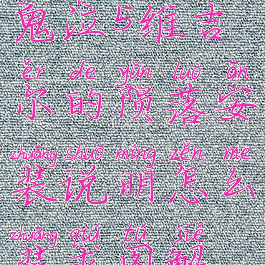 鬼泣5维吉尔的陨落安装说明怎么装求图解