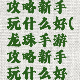 龙珠手游攻略新手玩什么好(龙珠手游攻略新手玩什么好用)