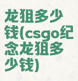 龙狙多少钱(csgo纪念龙狙多少钱)