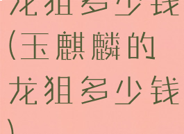 龙狙多少钱(玉麒麟的龙狙多少钱)
