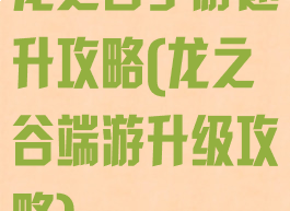 龙之谷手游速升攻略(龙之谷端游升级攻略)