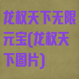龙权天下无限元宝(龙权天下图片)
