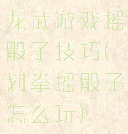 龙武游戏摇骰子技巧(划拳摇骰子怎么玩)