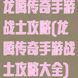 龙腾传奇手游战士攻略(龙腾传奇手游战士攻略大全)