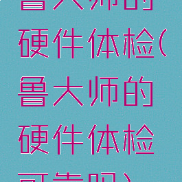 鲁大师的硬件体检(鲁大师的硬件体检可靠吗)