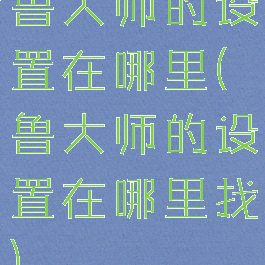 鲁大师的设置在哪里(鲁大师的设置在哪里找)