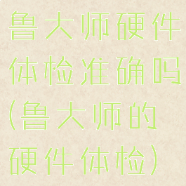 鲁大师硬件体检准确吗(鲁大师的硬件体检)