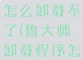 鲁大师程序怎么卸载不了(鲁大师卸载程序怎么卸)