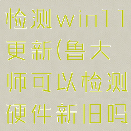 鲁大师可以检测win11更新(鲁大师可以检测硬件新旧吗)