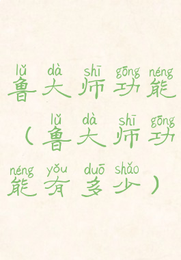 鲁大师功能(鲁大师功能有多少)