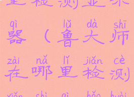 鲁大师在哪里检测显示器(鲁大师在哪里检测显示器好坏)