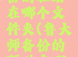 鲁大师备份的驱动在哪个文件夹(鲁大师备份的驱动在哪里)