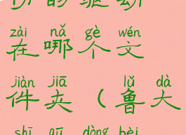 鲁大师备份的驱动在哪个文件夹(鲁大师驱动备份在哪里)