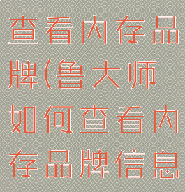 鲁大师如何查看内存品牌(鲁大师如何查看内存品牌信息)