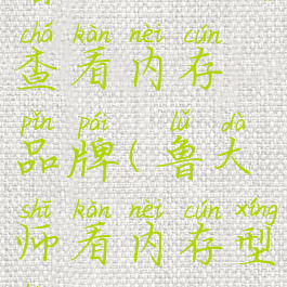 鲁大师如何查看内存品牌(鲁大师看内存型号)