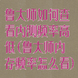 鲁大师如何查看内测频率高低(鲁大师内存频率怎么看)