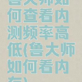 鲁大师如何查看内测频率高低(鲁大师如何看内存)