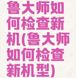 鲁大师如何检查新机(鲁大师如何检查新机型)