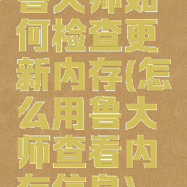 鲁大师如何检查更新内存(怎么用鲁大师查看内存信息)