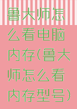 鲁大师怎么看电脑内存(鲁大师怎么看内存型号)