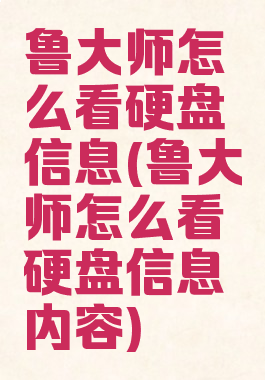 鲁大师怎么看硬盘信息(鲁大师怎么看硬盘信息内容)