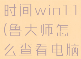 鲁大师怎么看硬盘使用时间win11(鲁大师怎么查看电脑硬盘使用时间)