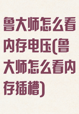 鲁大师怎么看内存电压(鲁大师怎么看内存插槽)