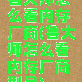 鲁大师怎么看内存厂商(鲁大师怎么看内存厂商型号)