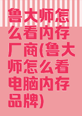 鲁大师怎么看内存厂商(鲁大师怎么看电脑内存品牌)