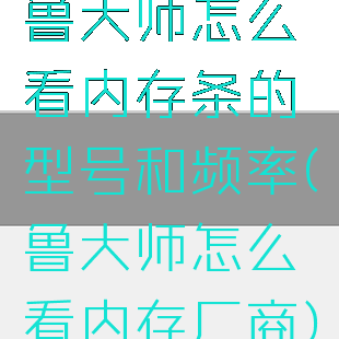 鲁大师怎么看内存条的型号和频率(鲁大师怎么看内存厂商)