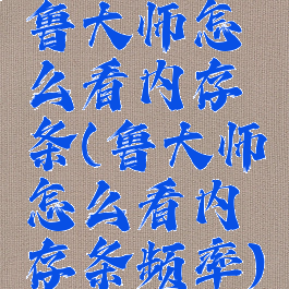 鲁大师怎么看内存条(鲁大师怎么看内存条频率)