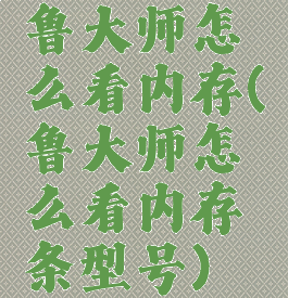 鲁大师怎么看内存(鲁大师怎么看内存条型号)