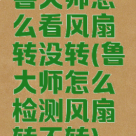 鲁大师怎么看风扇转没转(鲁大师怎么检测风扇转不转)