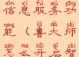 鲁大师怎么开启智能化信息服务功能(鲁大师怎么开启智能化信息服务功能呢)