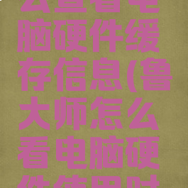 鲁大师怎么查看电脑硬件缓存信息(鲁大师怎么看电脑硬件使用时间)