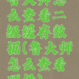 鲁大师怎么查看二级缓存数据(鲁大师怎么查看硬件)