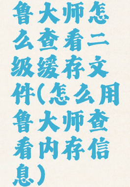 鲁大师怎么查看二级缓存文件(怎么用鲁大师查看内存信息)